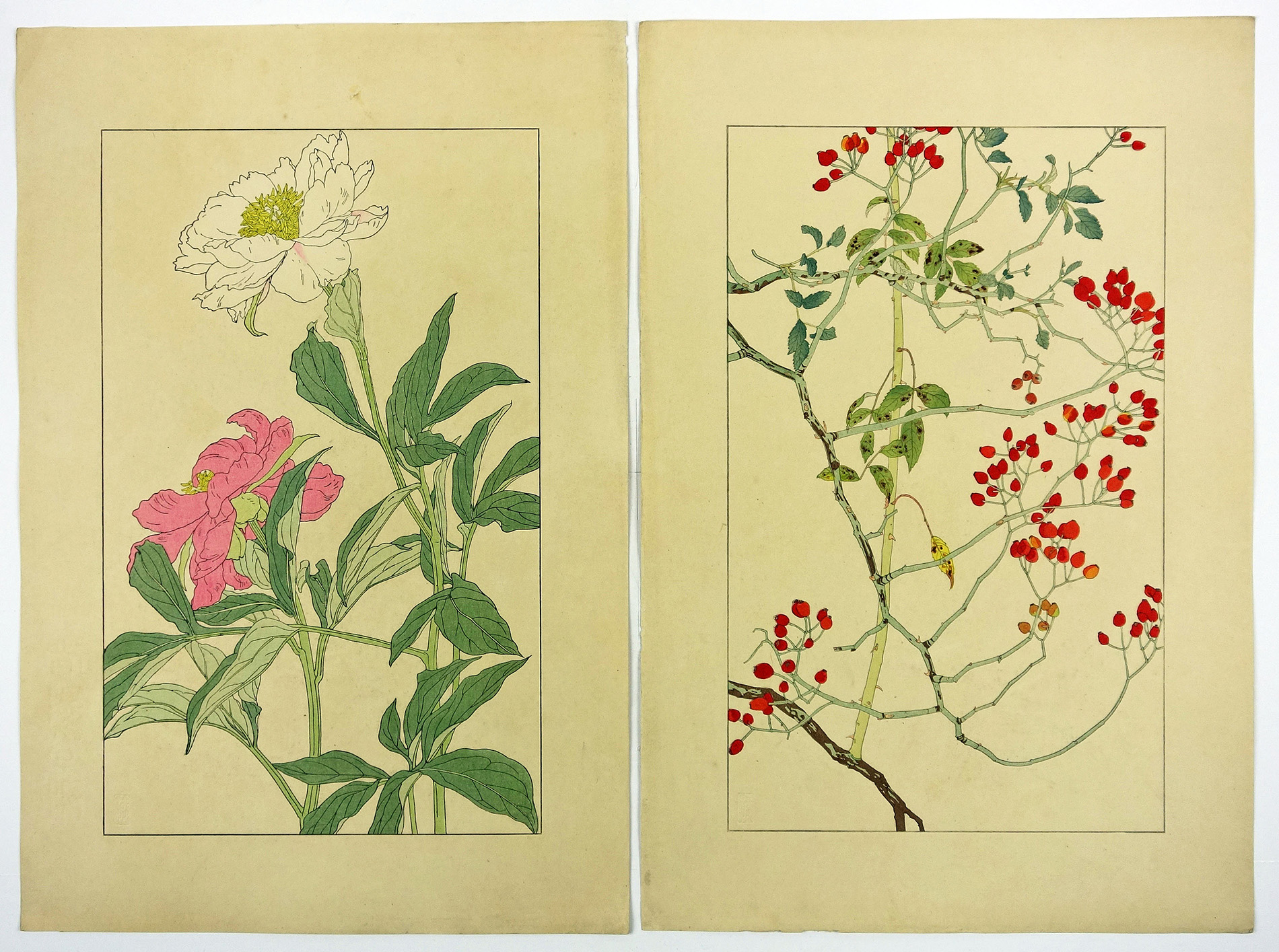 非水百花譜